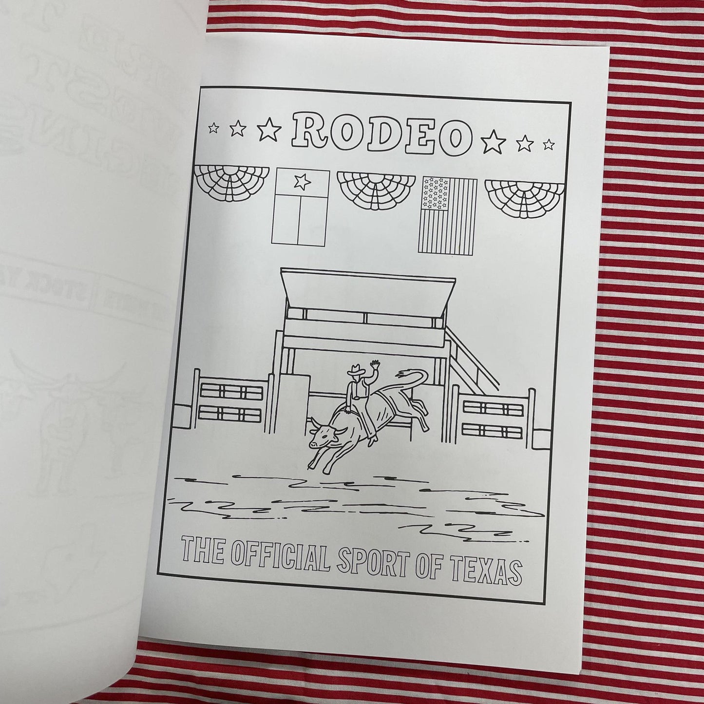 Tour of Texas- Coloring Book