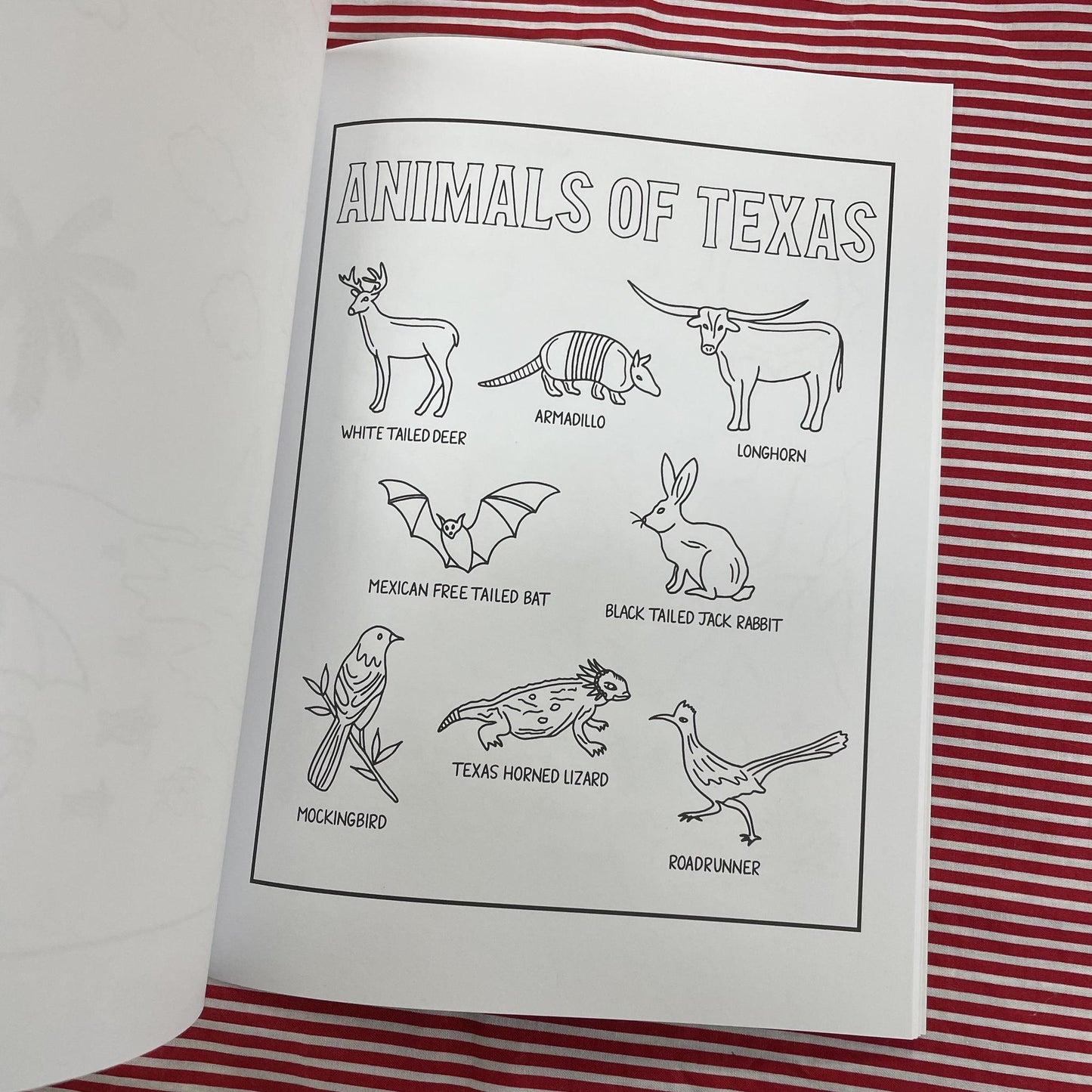 Tour of Texas- Coloring Book