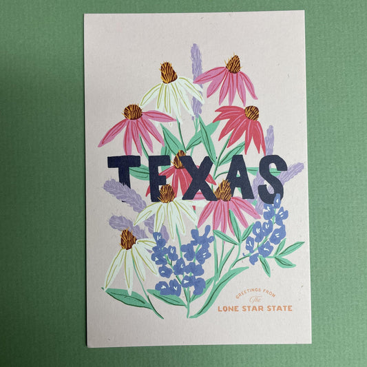 Texas State Woldflowers Postcard